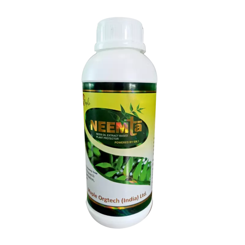 Neemta