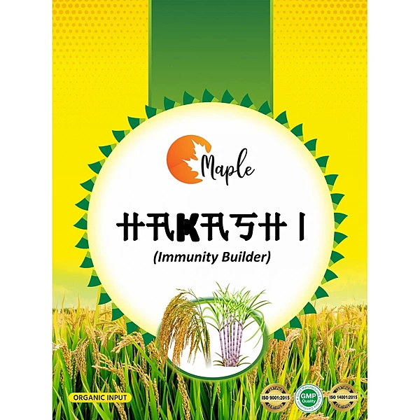 Maple Hakashi