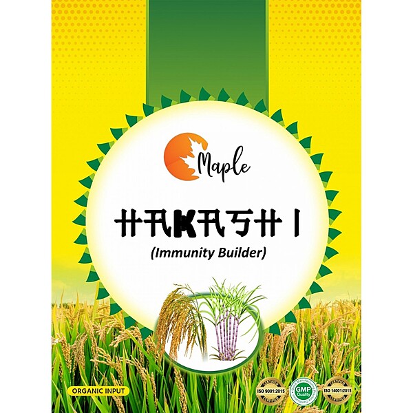 Maple Hakashi