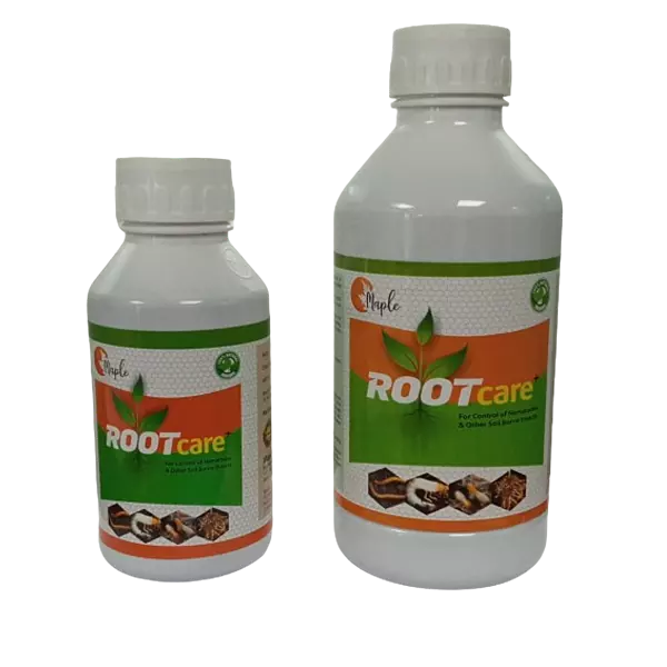 Maple Root Care+