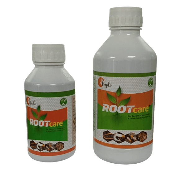 Maple Root Care+