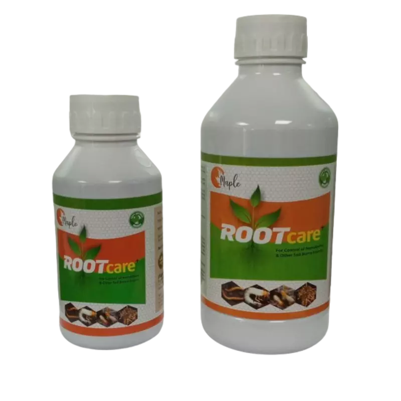 Maple Root Care+