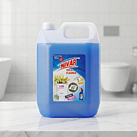 Toilet Cleaner