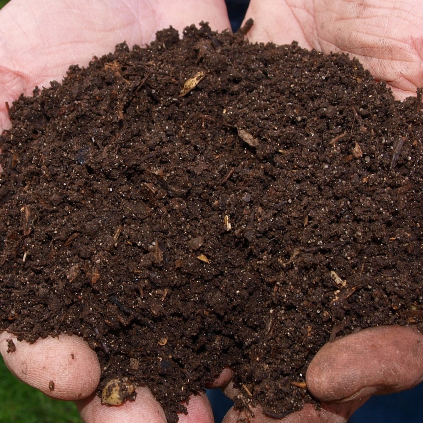 25kg High Quality Vermi compost