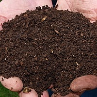 High Quality Vermicompost 5kg