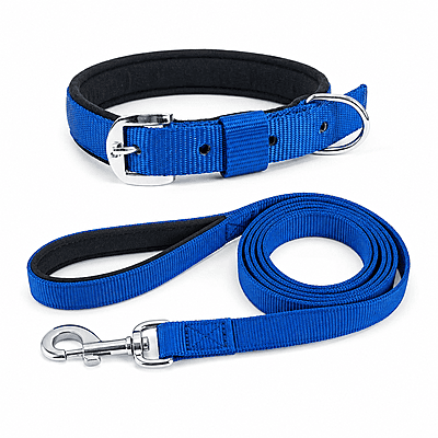 Nylon Dog Collar(padded) with leash Nylon Dog Collar(padded) with leash