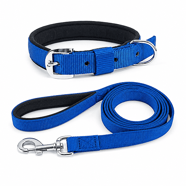Nylon Dog Collar(padded) with leash Nylon Dog Collar(padded) with leash