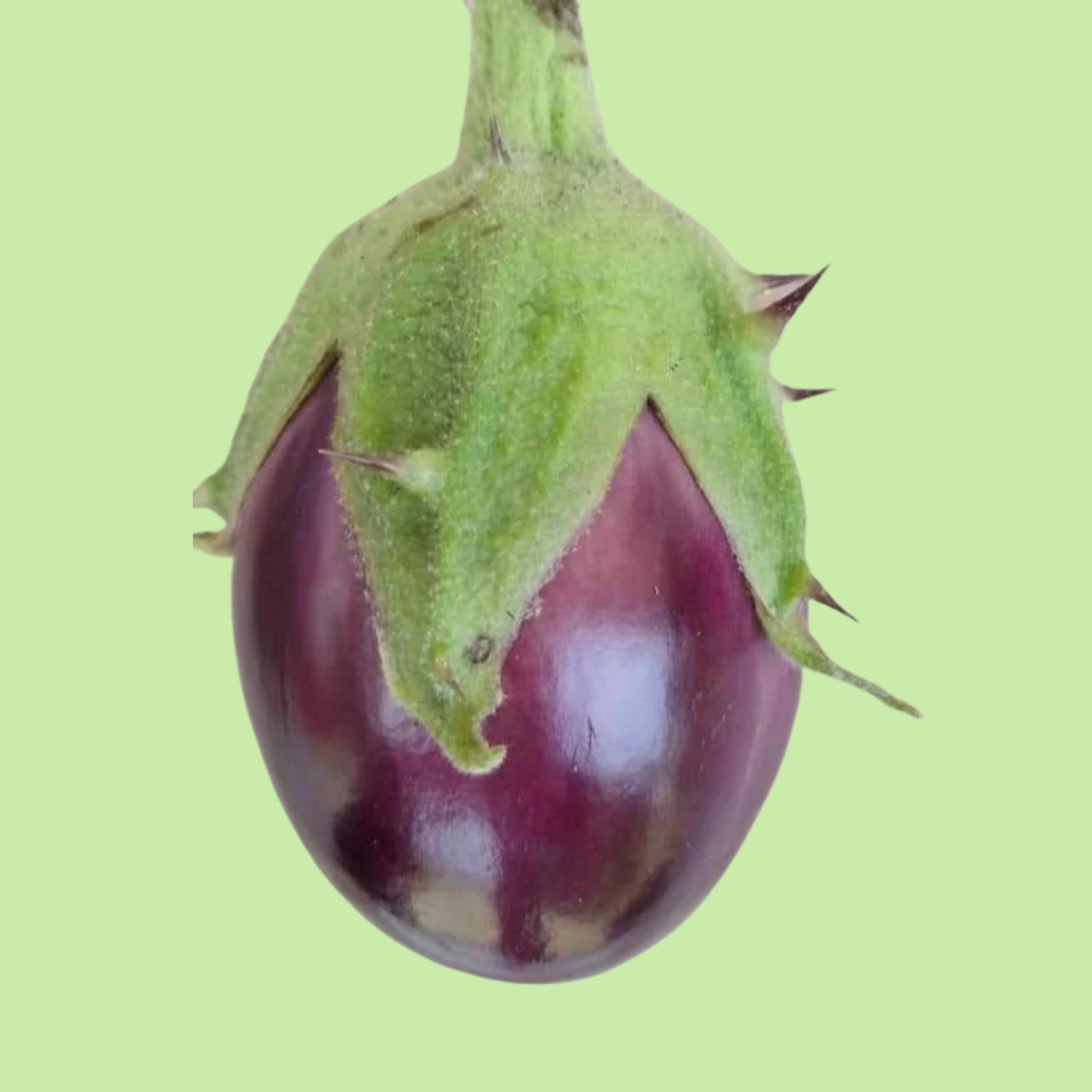 Briyani Naati - 500g