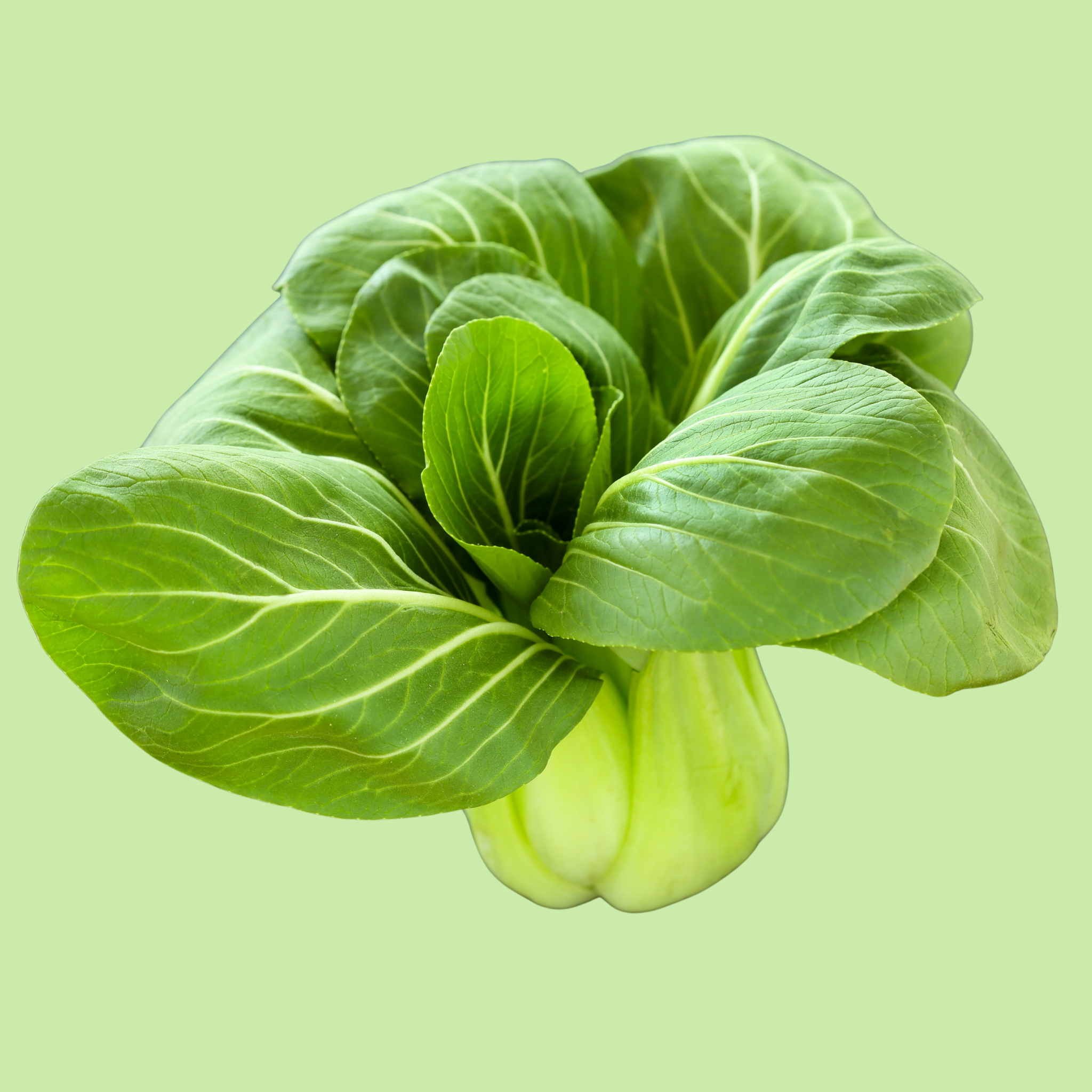 Pak Choi White Stemmed - 200g