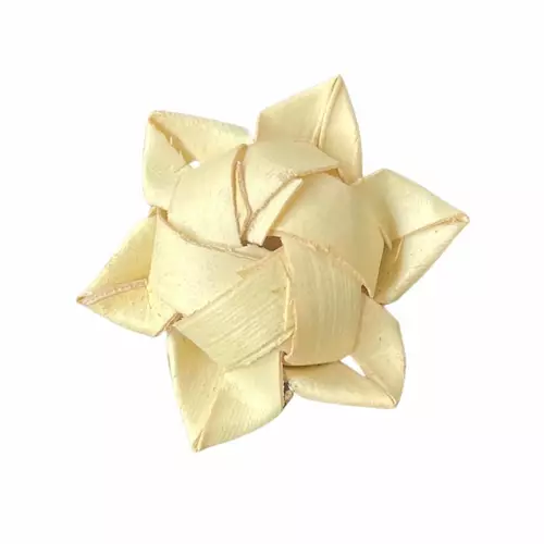 Palm Leaf Star