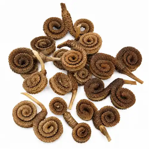 Palm Ring natural dried exotic home decor items leafndeor