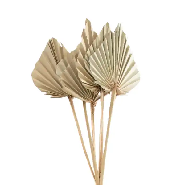 Natural dried palm spear for floral decor and boho styling