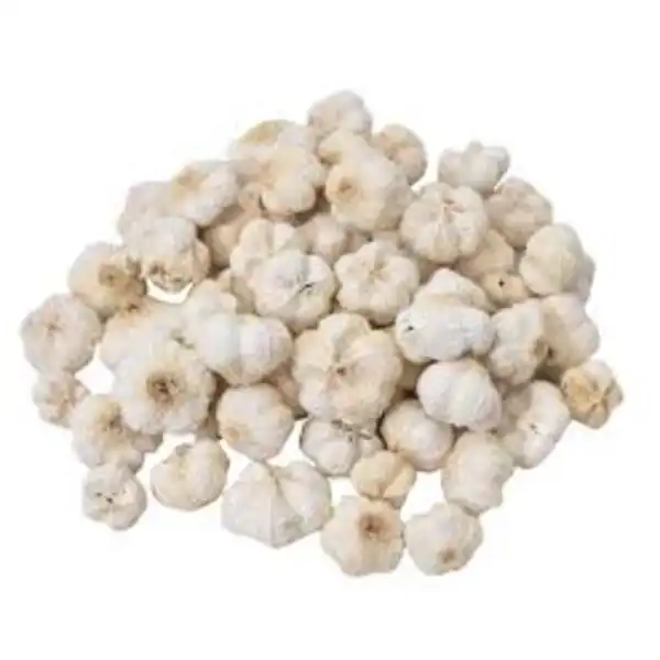 natural dried paras pod for potpourri, aroma decor and dry flower gift box fillers