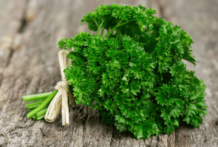 PARSLEY LEAVES