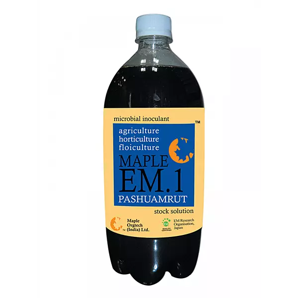 Maple EM.1 Pashuamrut