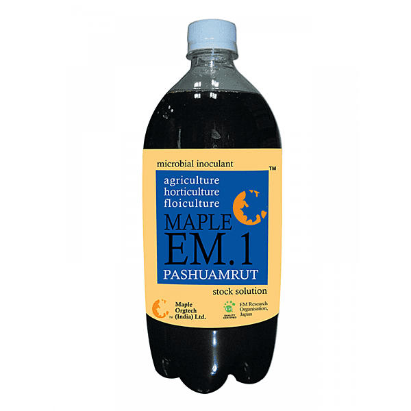 Maple EM.1 Pashuamrut