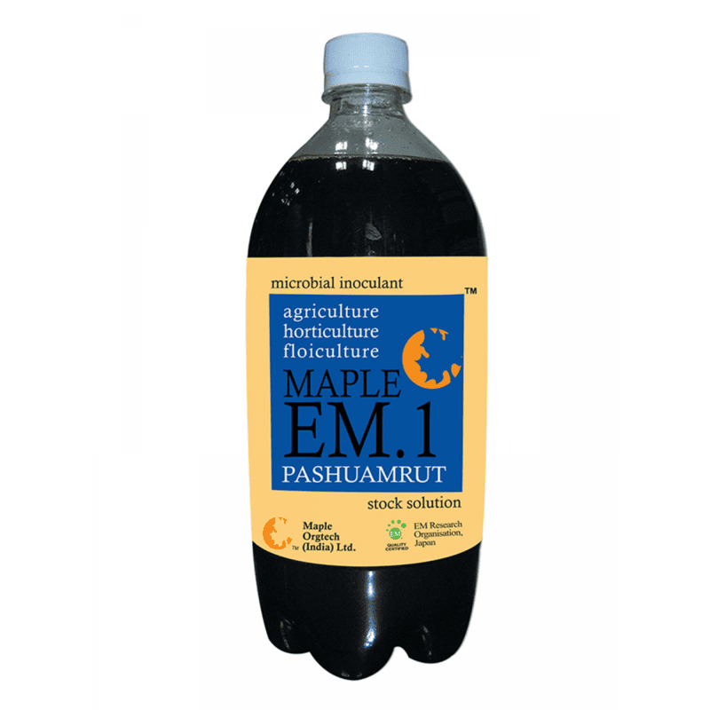 Maple EM.1 Pashuamrut