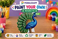 Reusable Big Peacock + 2 Cartoon Favourites DIY Painting Kit- Set of 3