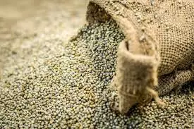 Pearl Millet