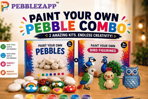 Reusable PebbleZapp Bird set of 3 + Pebble Painting Kit