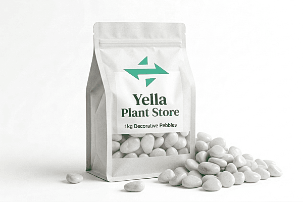 Decorative Garden Pebbles | Colored Stones for Plants