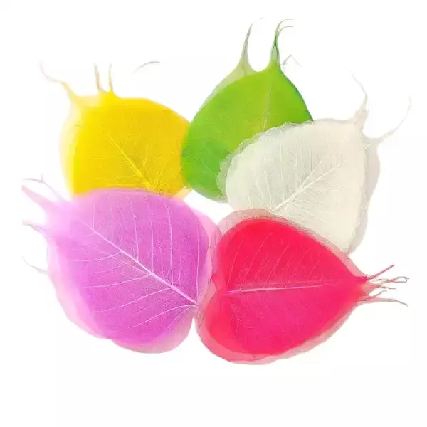 Natural dried peepal leaf skeleton for DIY craft, resin art, scrapbooking and eco-friendly décor Natural dried peepal leaf skeleton for DIY craft, resin art, scrapbooking and eco-friendly décor