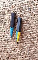 Pencil Earrings | Colors of Life | Dual Shade