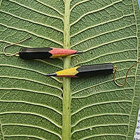 Pencil Earrings | Colors of Life | Dual Shade