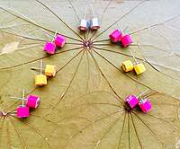 Pencil Stud Earring | Colors of Life