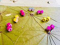 Pencil Stud Earring | Colors of Life