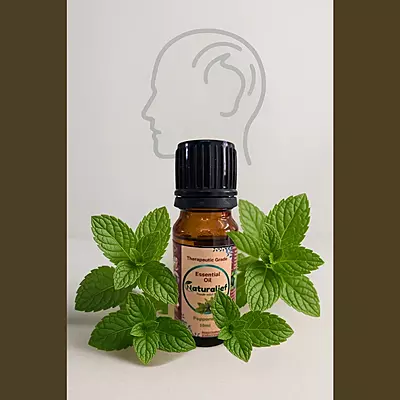 Peppermint Essential Oil – Pure Refreshment for Mind and Body