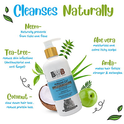 Persian Cat Shampoo (300 ml + deospray)