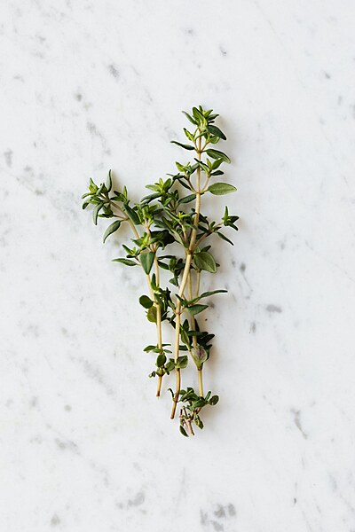 Fresh Thyme 50 Gms