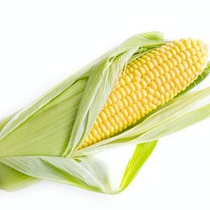 Corn On The Cobb 1 Piece