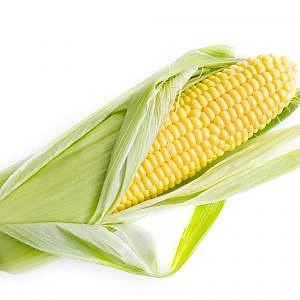 Corn On The Cobb 1 Piece
