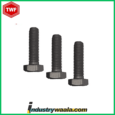 TWF 24 X 60 MM Hex Head Bolts/Screws - Metric, Quantity- 10 Pcs