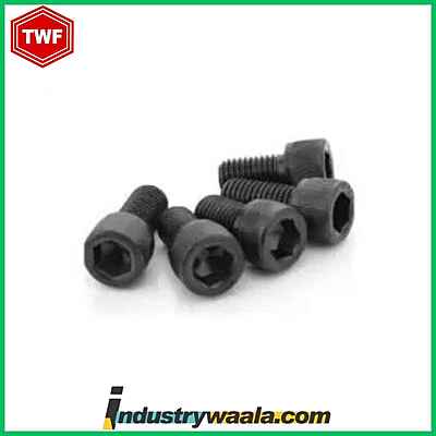 TWF 6 X 65 MM Socket Head Cap Screw (Allen Bolt) - Metric, Quantity- 100 Pcs