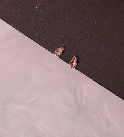 Silver leaf second stud with rosegold finish