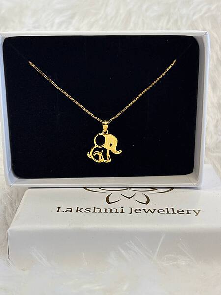 Silver yanai chain with gold finish