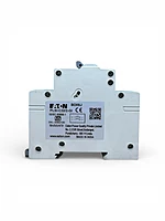25A Eaton 2-Pole AC MCB
