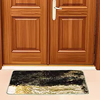 Printed Rug Carpet 24*16.5 inch