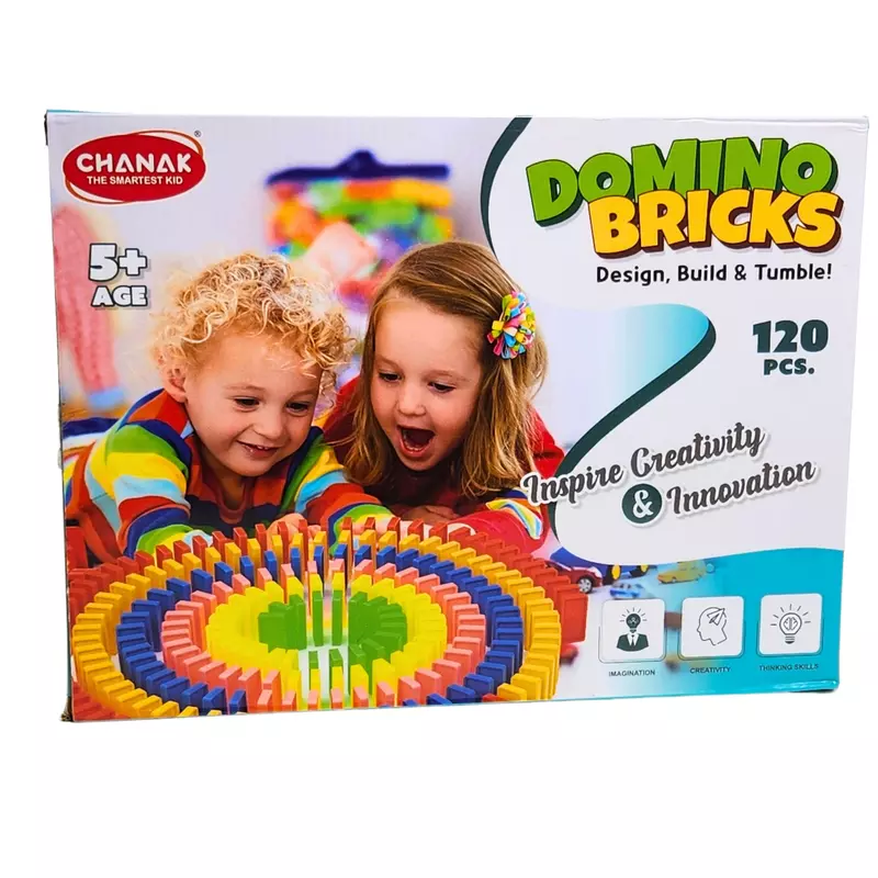 Domino Bricks 120Pcs