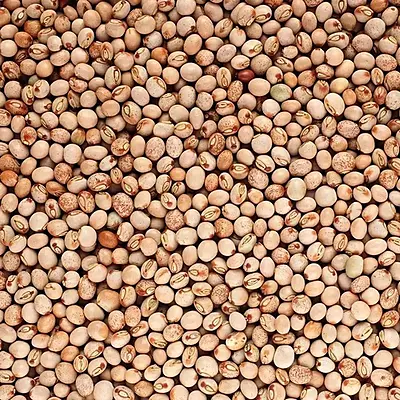 Whole Toor - Pigeon pea