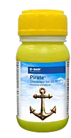 Pirate by BASF