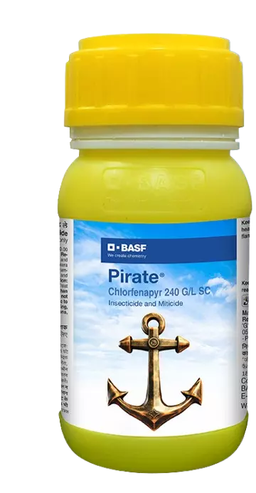 Pirate by BASF