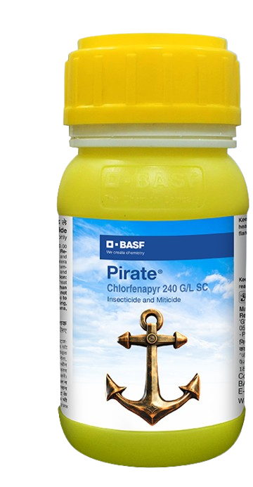 Pirate by BASF