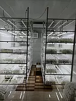 Tissue Culture Lab Setup & Retrofit