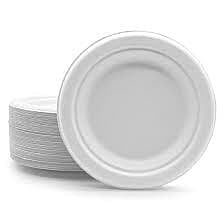 Biodegradable Disposable Plate