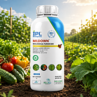 IPL MILDOWN Bio-Fungicide (Bacillus subtilis 2.0% A.S.) | Vetrivel Agro Services