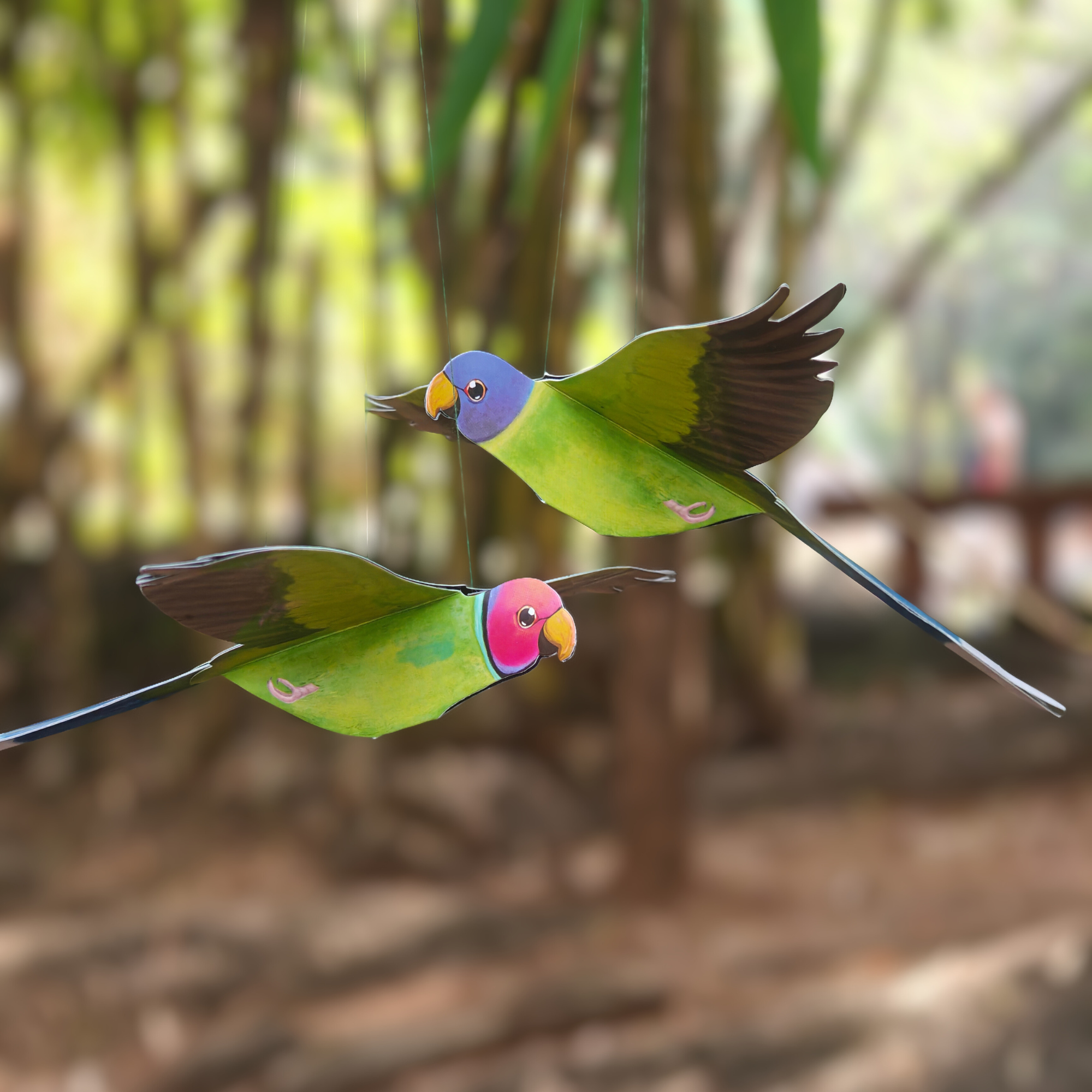 Plum-headed Parakeet — Paper Craft Kit (Set of 2)